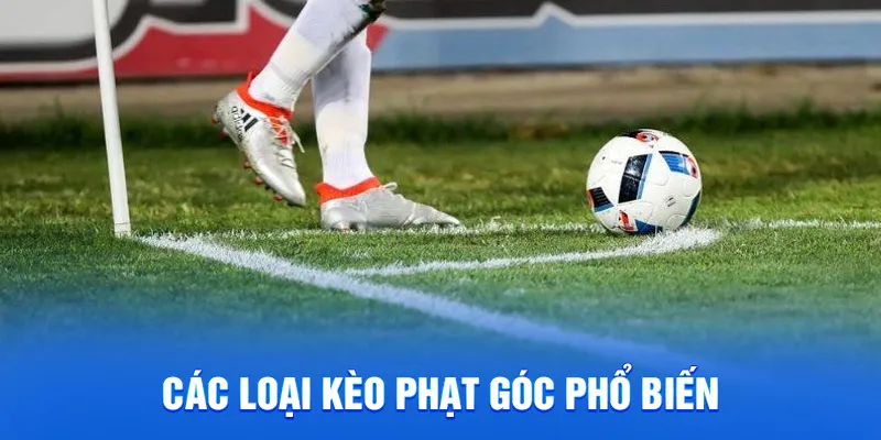Kèo Phạt Góc 78WIN - Cách Chơi Chi Tiếc Và Mẹo Thắng Lớn 3 Kinh nghiệm chơi kèo phạt góc hiệu quả